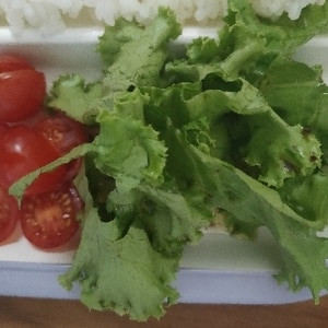 トマトとグリーンリーフのヘルシーサラダ